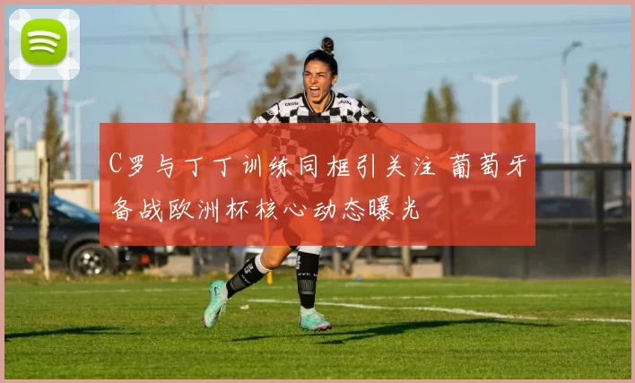C罗与丁丁训练同框引关注 葡萄牙备战欧洲杯核心动态曝光
