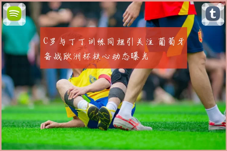 C罗与丁丁训练同框引关注 葡萄牙备战欧洲杯核心动态曝光