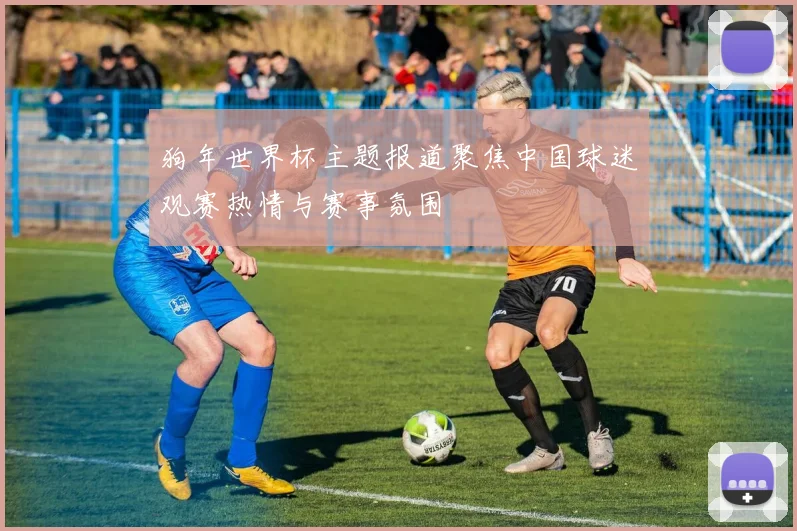狗年世界杯主题报道聚焦中国球迷观赛热情与赛事氛围